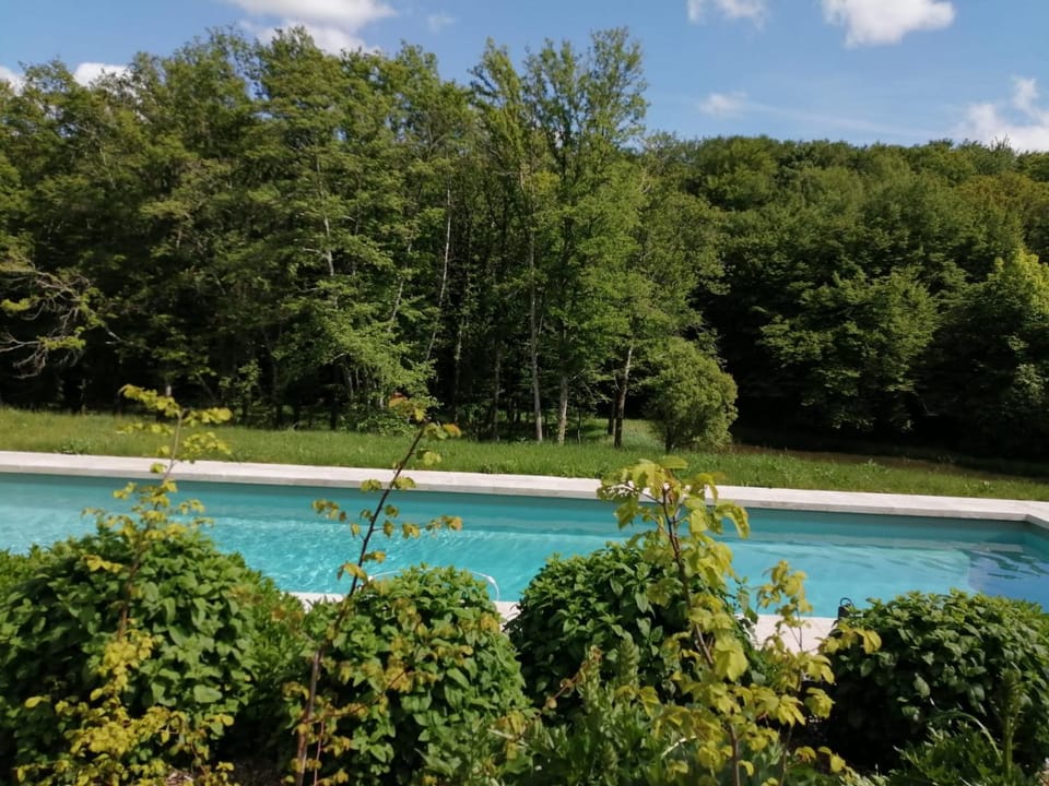 Pool view, Swimming pool