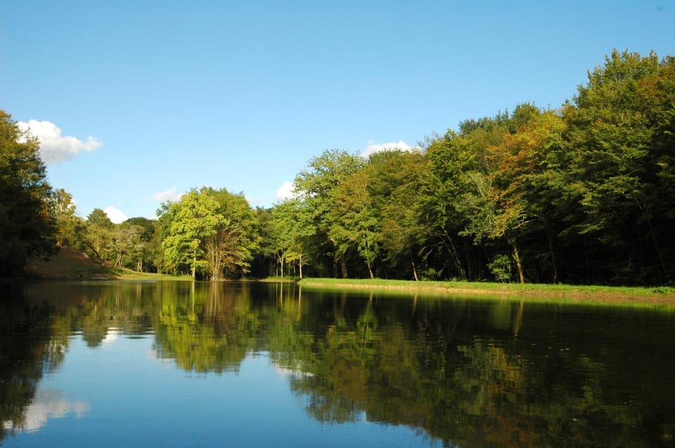 Lake view