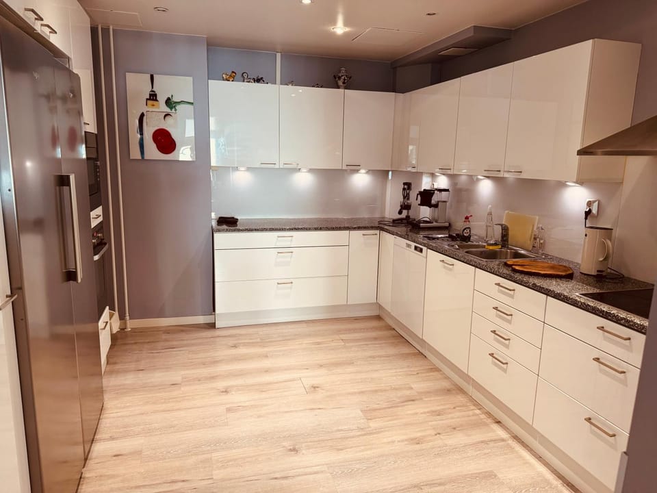 Kitchen or kitchenette, dishwasher, stove