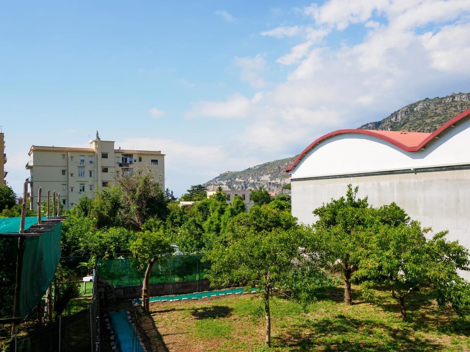 Spring, Day, View (from property/room), Garden view, Mountain view
