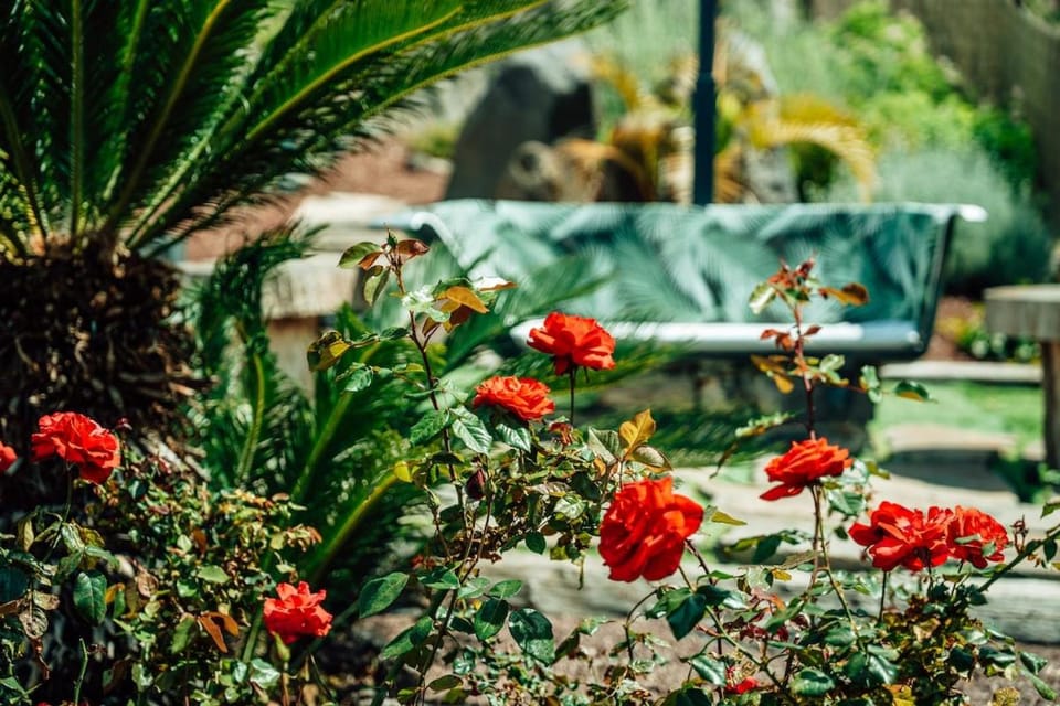 Spring, Garden