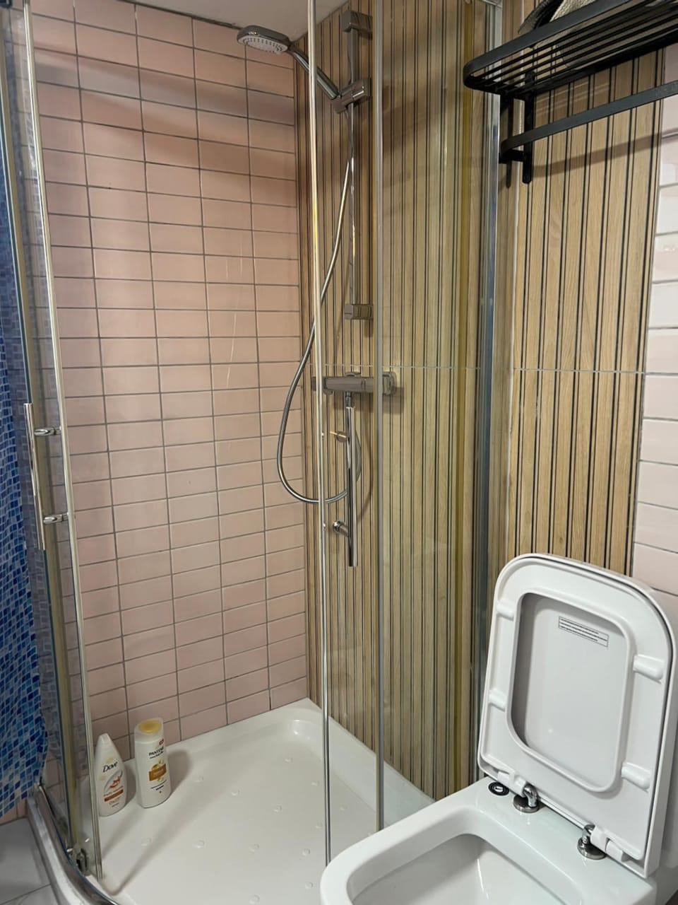 park tiny loft bed studio Apartment in Dublin