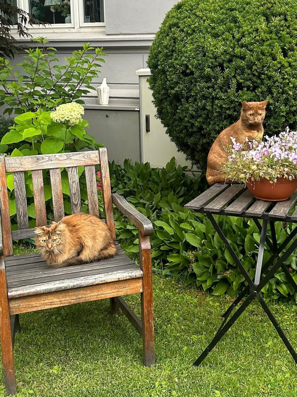 Neighbourhood