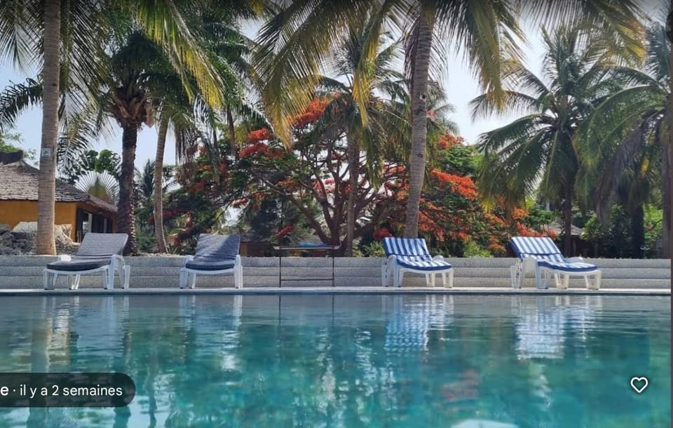 Garden view, Pool view, Swimming pool, sunbed