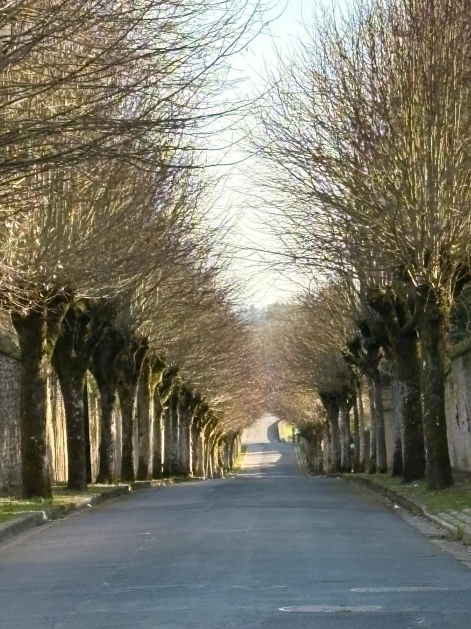Quiet street view