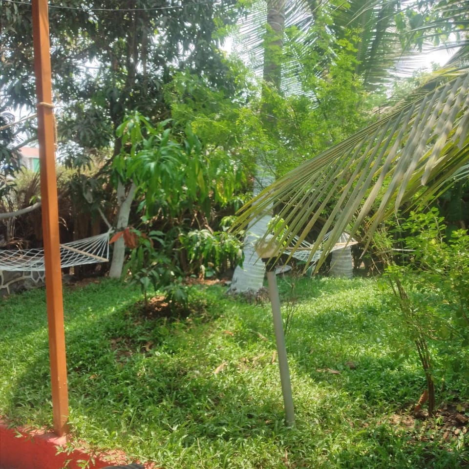 Green heaven homestay Bed and Breakfast in Alibag