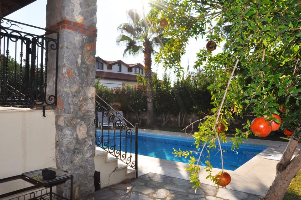 Garden view
