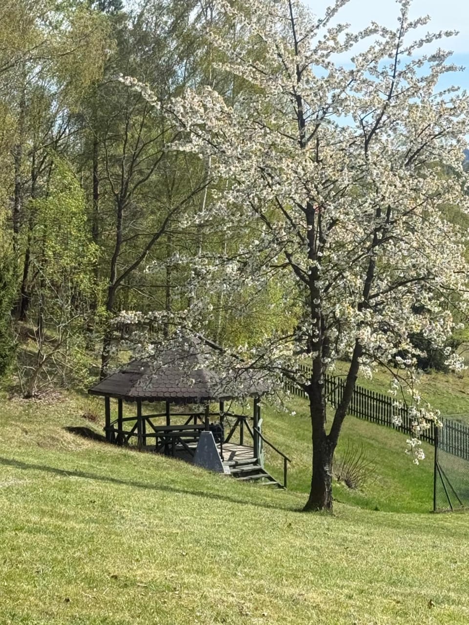Apartament Pod Leśnym Niebem Apartment in Lower Silesian Voivodeship