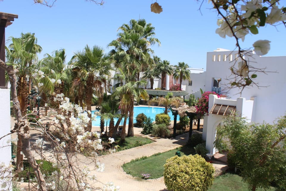 Garden, Pool view, Swimming pool, sunbed