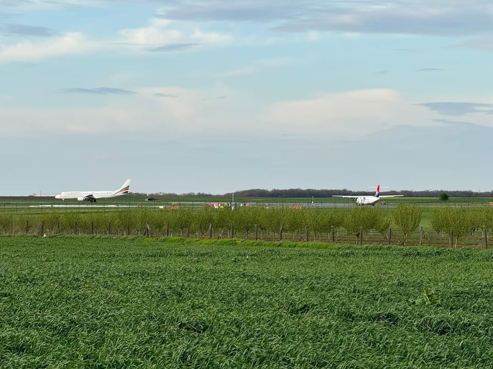 Spring, Day, Natural landscape