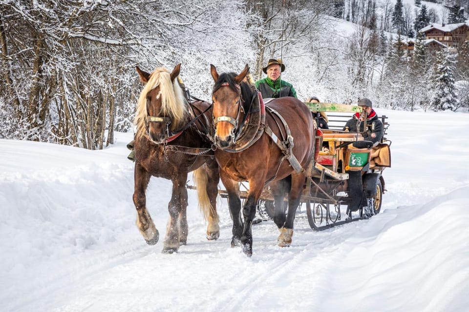 Day, People, Winter, Animals, children