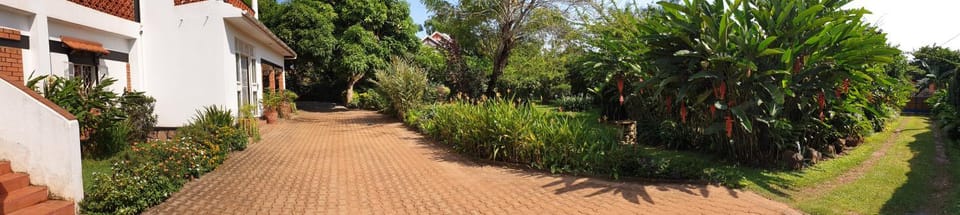 Day, Natural landscape, Garden, Garden view