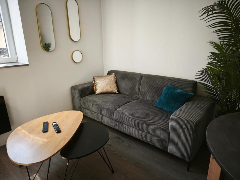 LE GAUDRY 3 - Sauna - Gare 150m - Quartier calme Apartment in Auvergne-Rhône-Alpes