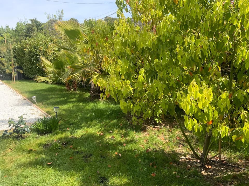 Villa Malia - Near Cannes - Luxury Designer House in Mougins Villa in Valbonne