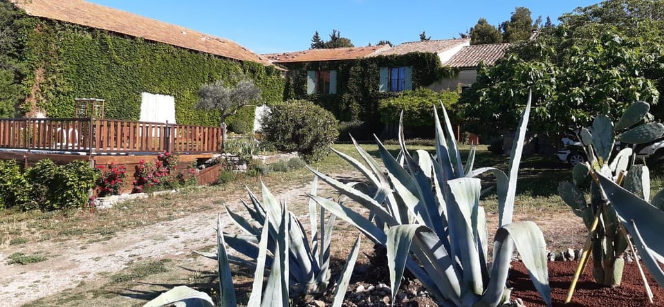 Property building, Spring, Day, Garden