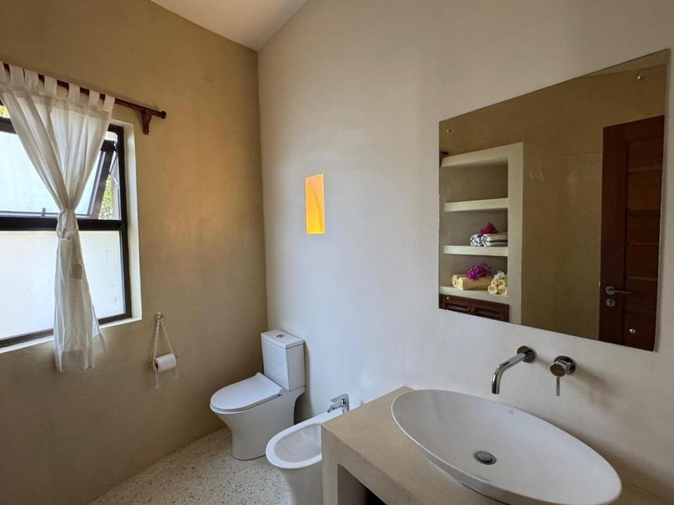 Toilet, Bathroom, bidet