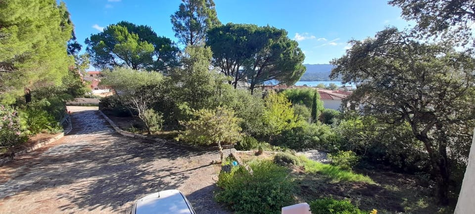 Garden, Garden view, Sea view