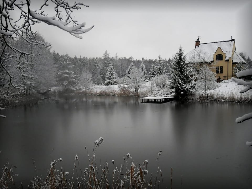 Winter