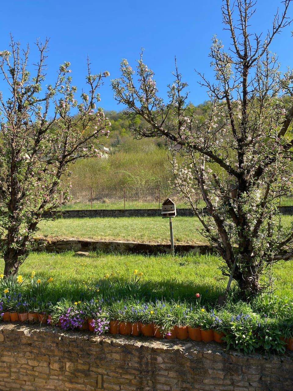 Garden view