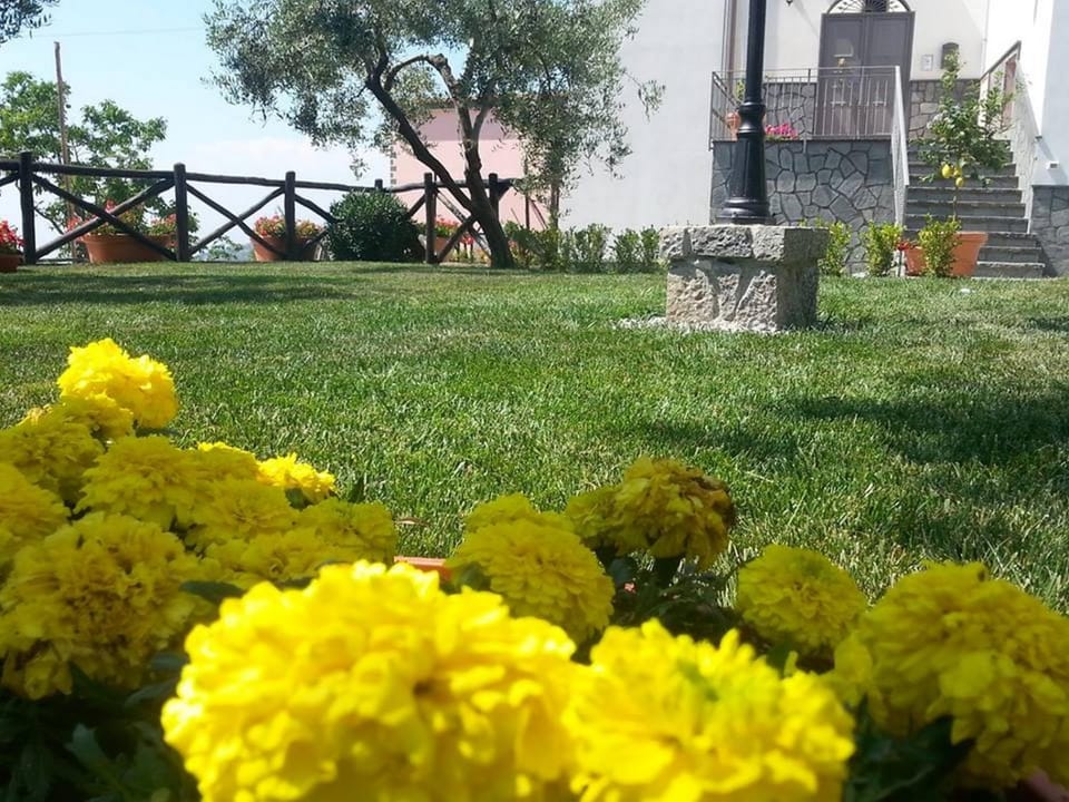 Property building, Garden, Garden