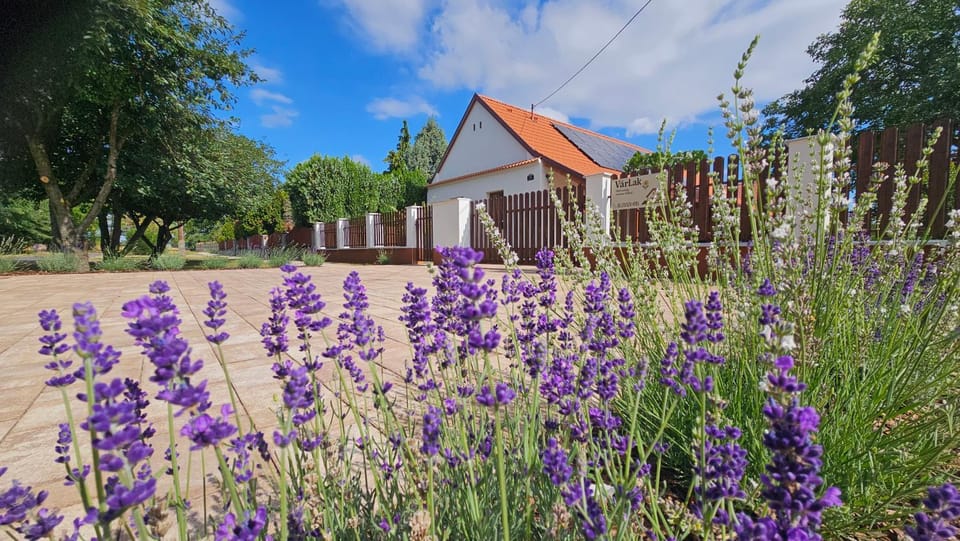 Property building, Natural landscape