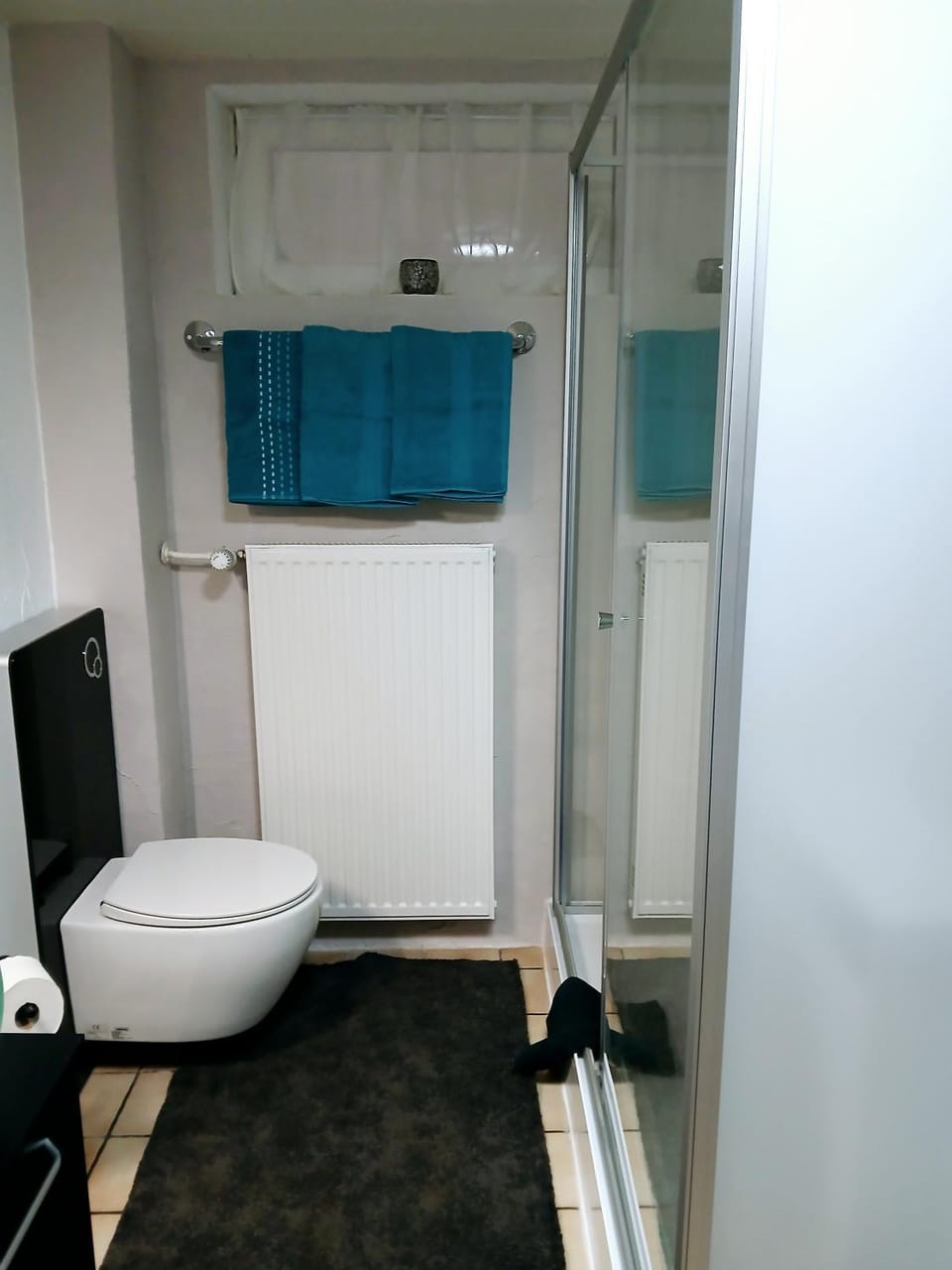 Shower, Toilet, Bathroom