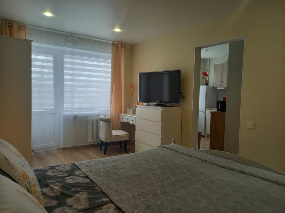 Cialkovska Ximija Apartment in Lithuania