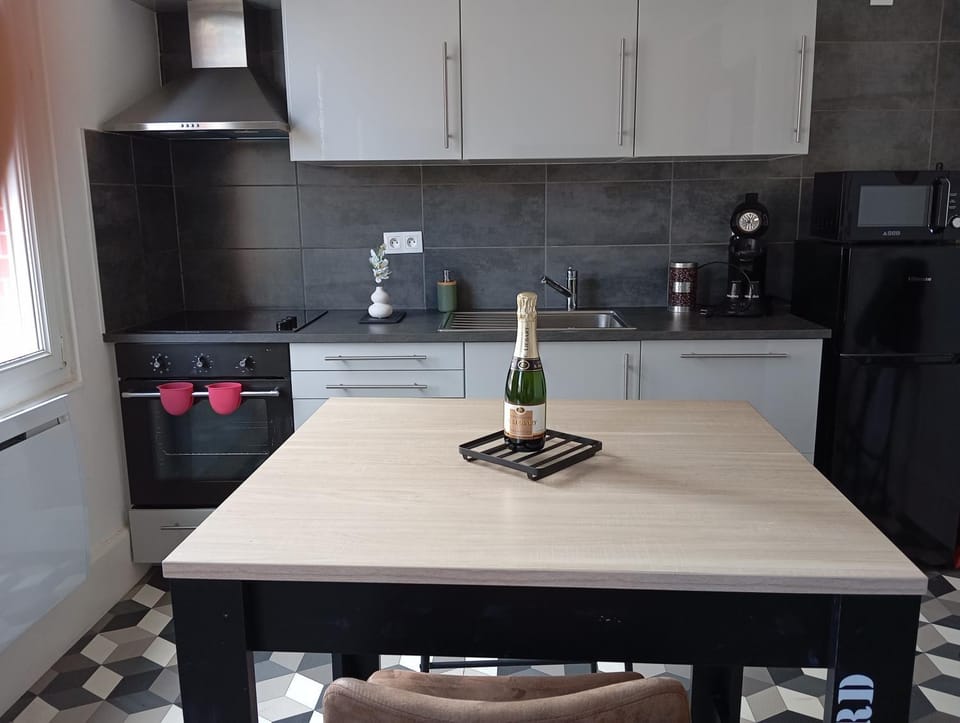 la loge sparnacienne Apartment in Epernay