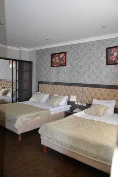 Bereke Hotel Hotel in Kazakhstan