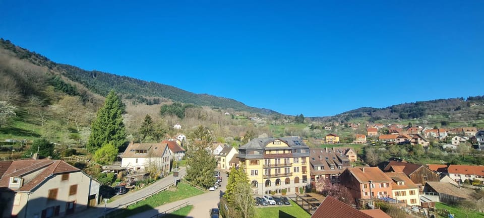 Avalon III Apartment in Ribeauvillé