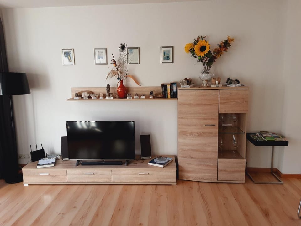 Communal lounge/ TV room, TV and multimedia, Living room