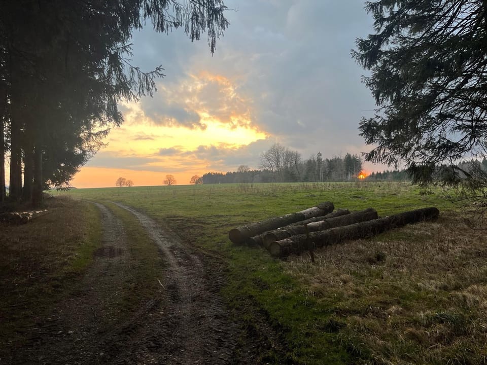 Natural landscape