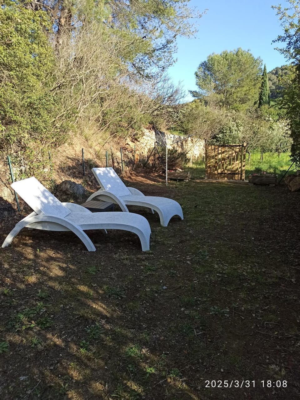 Garden, Garden view, sunbed
