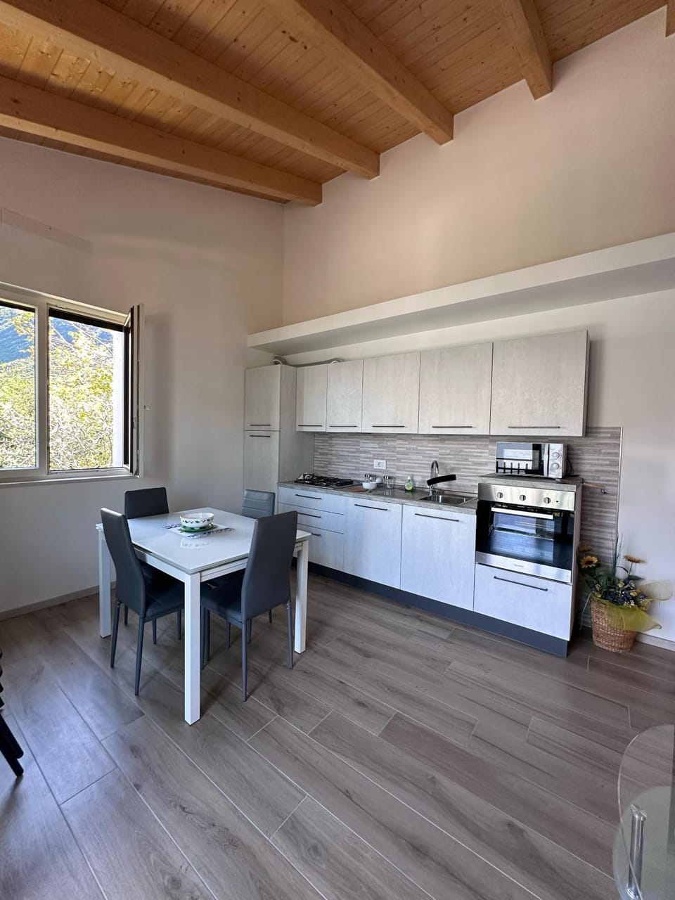 Kitchen or kitchenette, Dining area, oven, stove