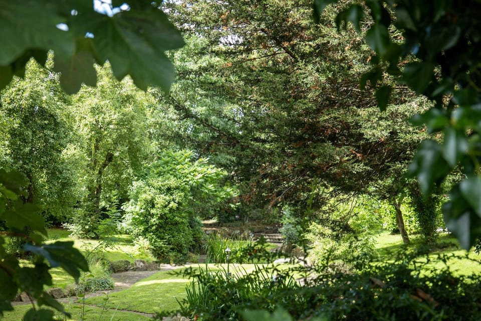 Natural landscape, Garden