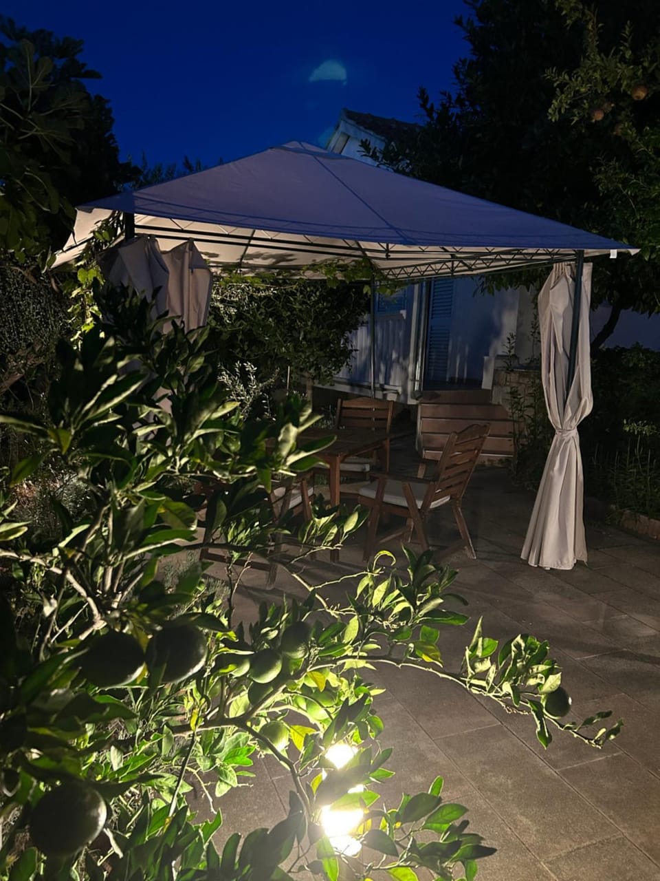 Patio, Night, Garden, Garden view