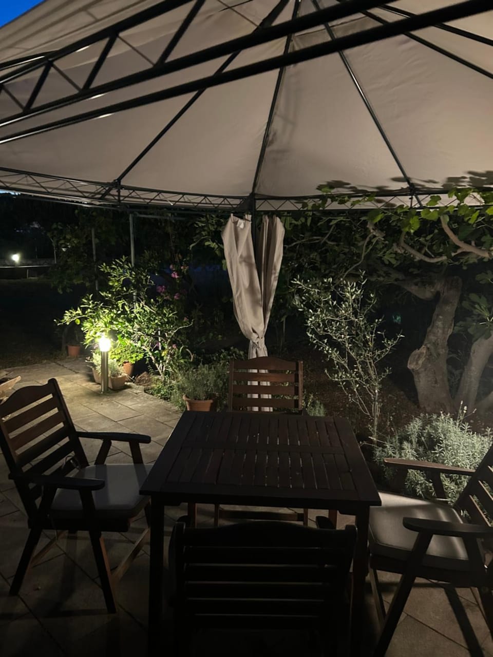 Patio, Night, Garden, Balcony/Terrace, Garden view