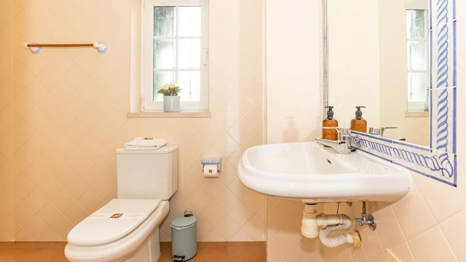 Toilet, Bathroom, bidet