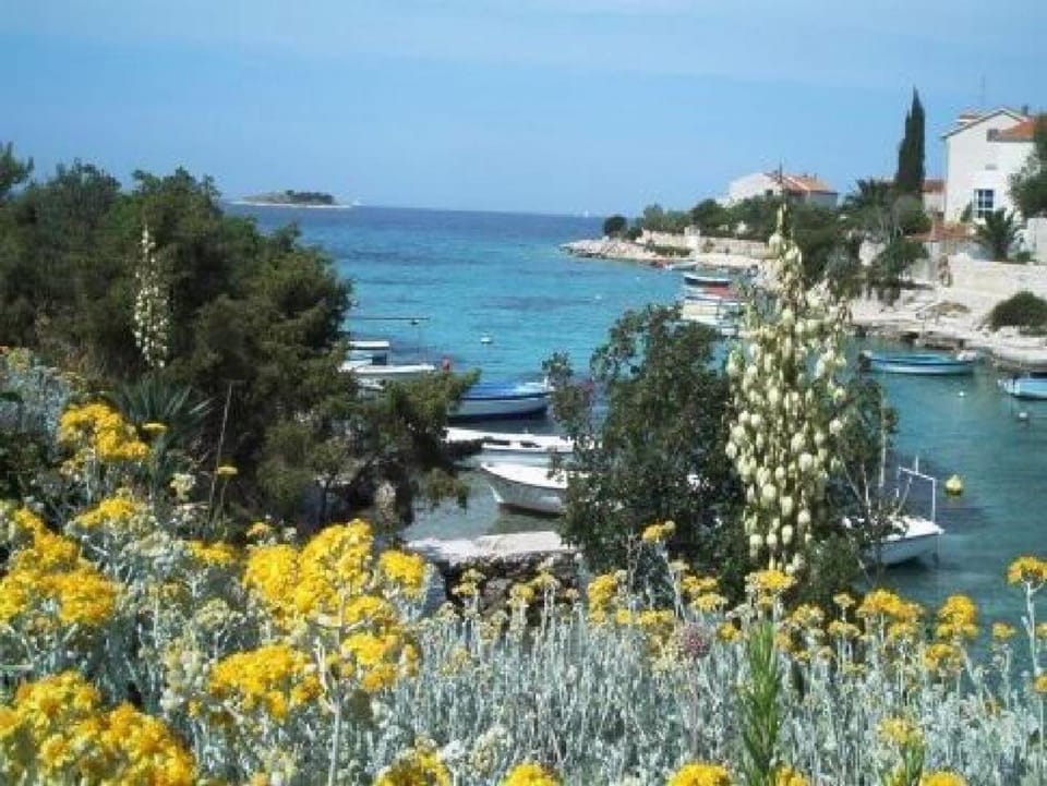 View (from property/room), Beach, Sea view