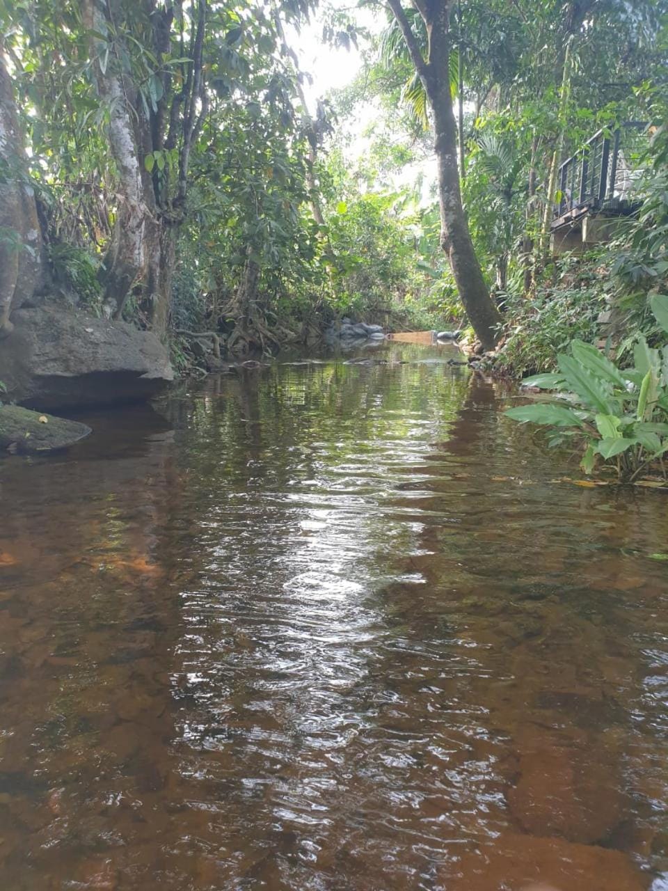 Water Pearl Villa in Western Province