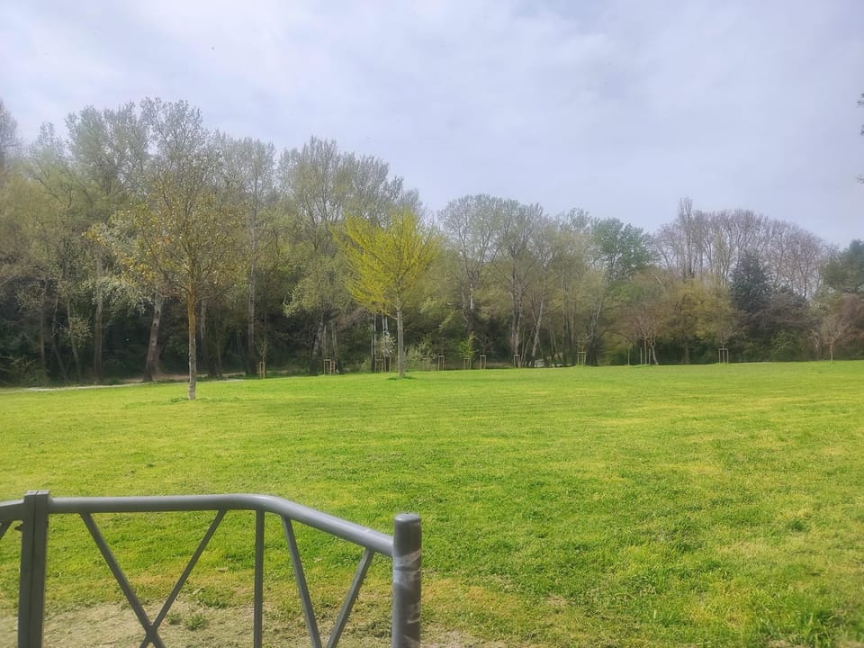 Natural landscape, Garden