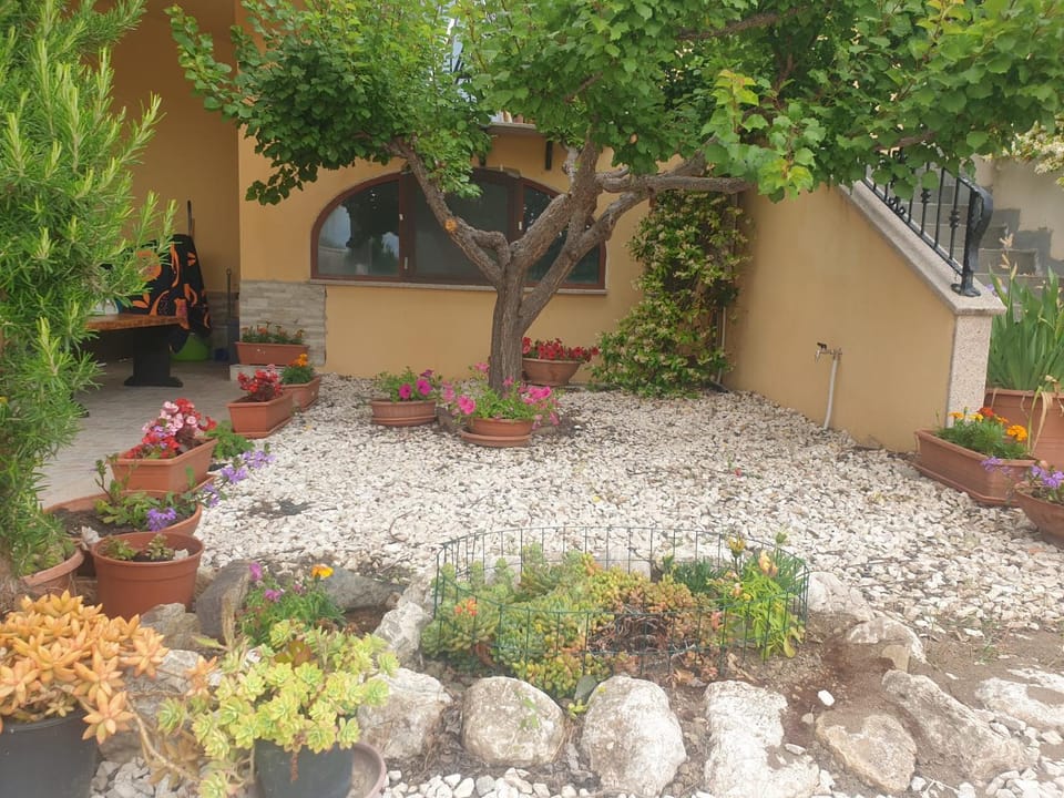 Property building, Garden, Garden view