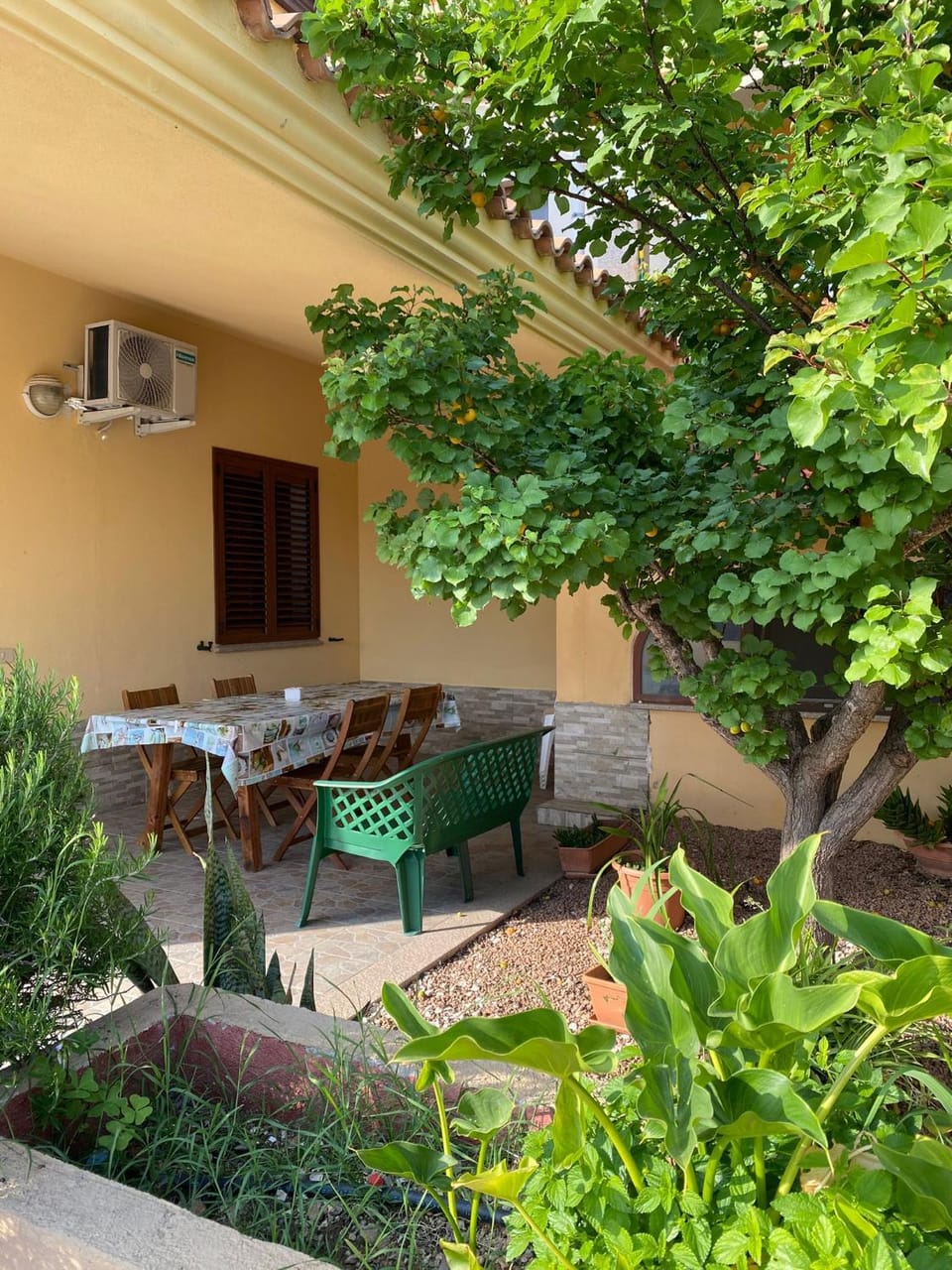 Patio, Garden