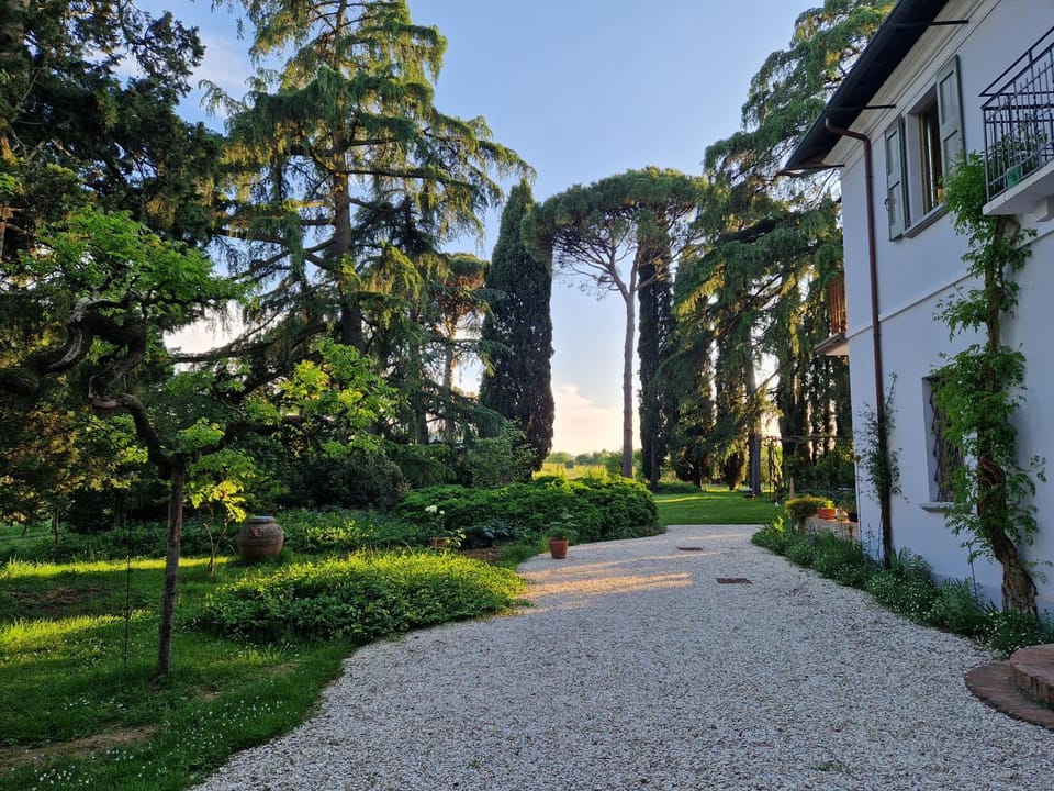 Property building, Natural landscape, Garden, Garden, Garden view