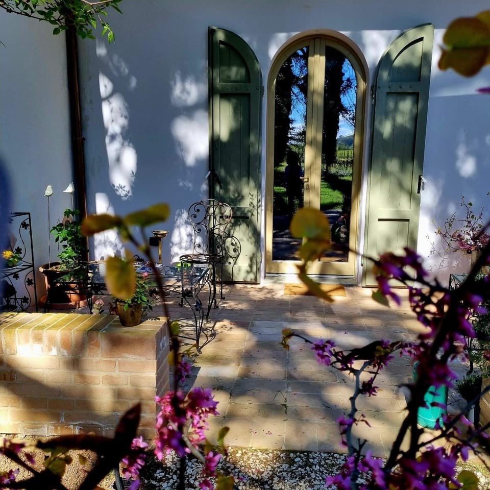 Patio, Garden view