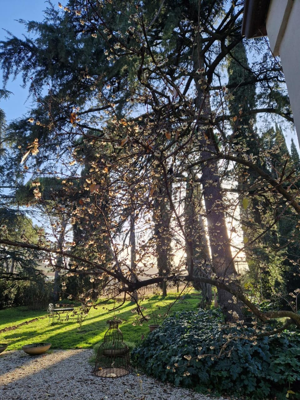 Natural landscape, Garden, Garden