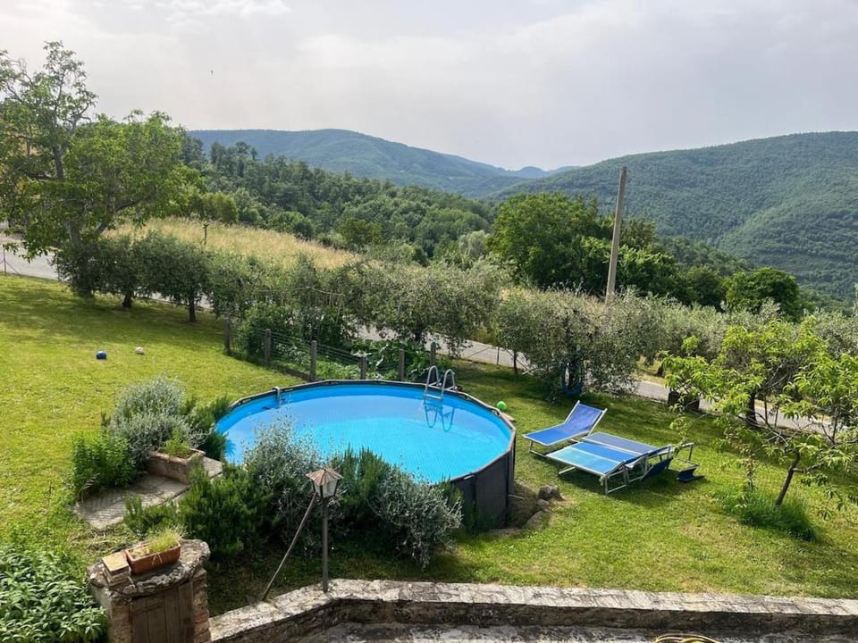 Day, Garden, Pool view, Swimming pool