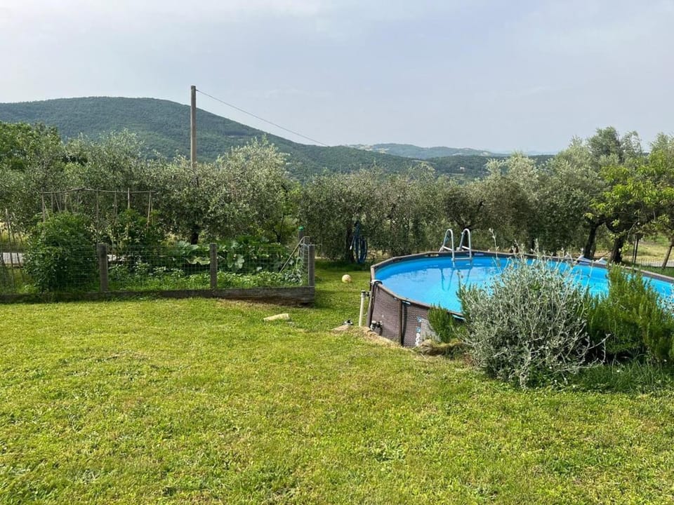 Day, Garden, Pool view, Swimming pool