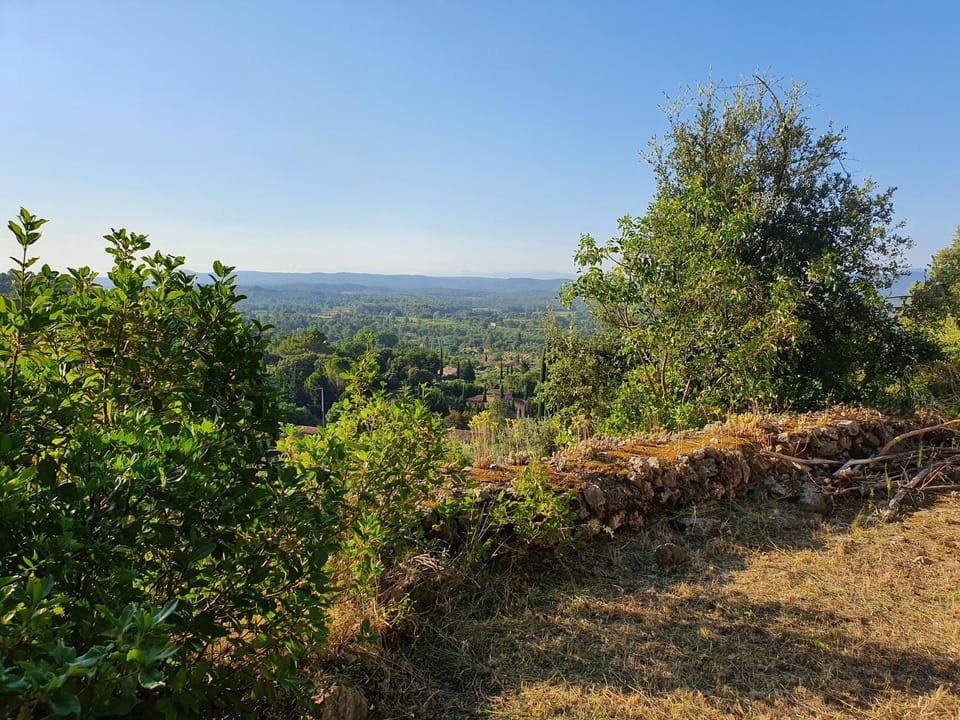 Garden, Mountain view