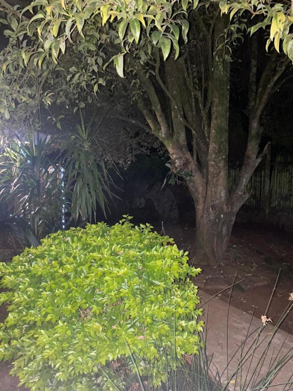 Taylor's Nest Apartment in KwaZulu-Natal